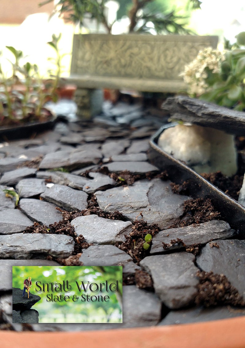 Small World Slate & Stone حجر الأردواز الطبيعي - 1/2 إلى 1 بوصة. الحجم المثالي للحدائق المصغرة أو حدائق الجنيات، الأحواض، الزواحف، التيراريوم، السكك الحديدية النموذجية، الديوراما وألعاب الحرب (1 رطل رمادي) - Image 4